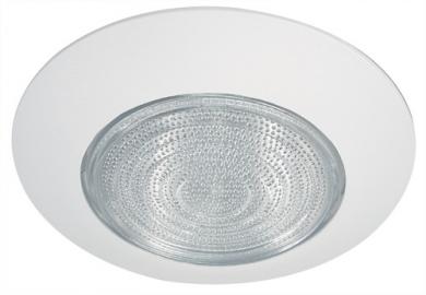 6" Shower Trim with Fresnel Lens and Cone Reflector