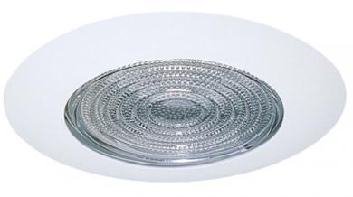 4" Shower Trim with Reflector and Fresnel Lens